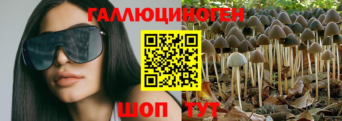 Галлюциногенные грибы ЛСД  Вход с VPN  Оренбург  закладка  Псилоцибиновые грибы мицелий 